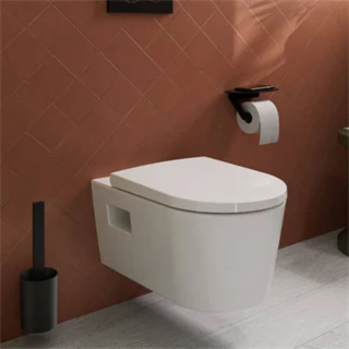 Hansgrohe WallStoris wc kefe tartó, matt fekete 27927670